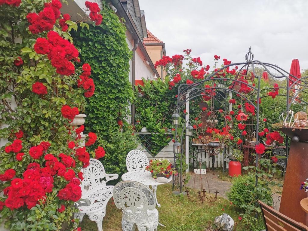 Cafesahne U Pension Dranske Buitenkant foto