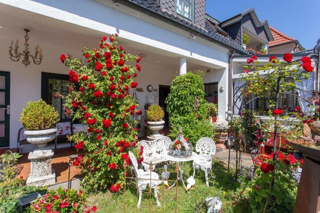 Cafesahne U Pension Dranske Buitenkant foto
