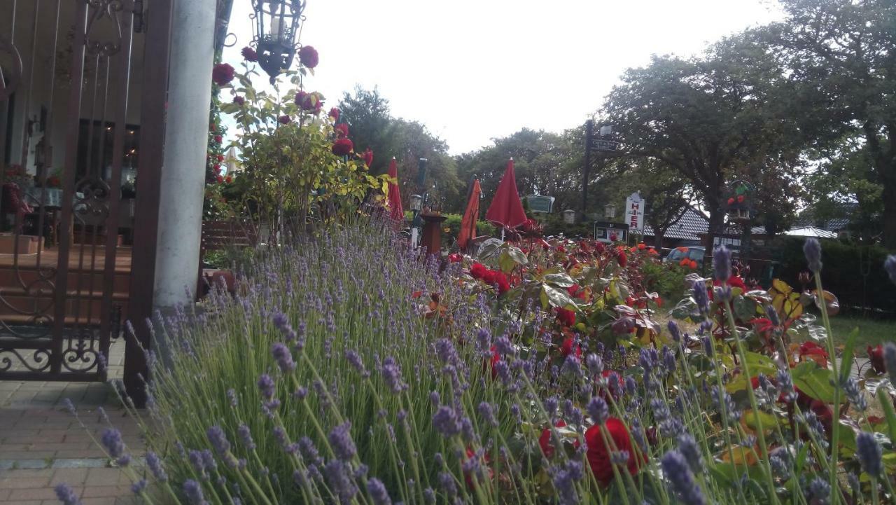 Cafesahne U Pension Dranske Buitenkant foto
